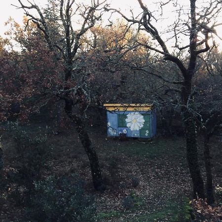 La Maison De Mado Et Sa Cabane Dans Les Arbres Plan d'Aups ภายนอก รูปภาพ