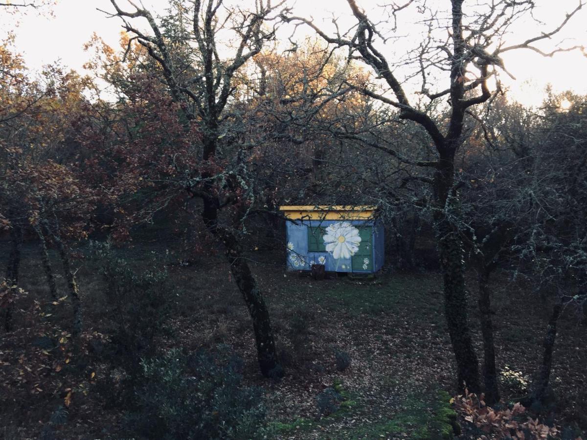 La Maison De Mado Et Sa Cabane Dans Les Arbres Plan d'Aups ภายนอก รูปภาพ