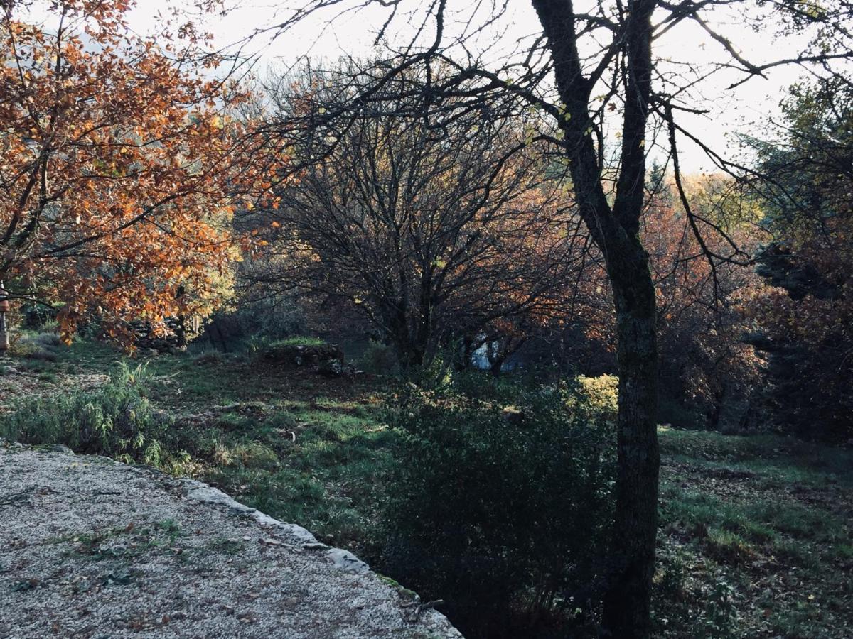 La Maison De Mado Et Sa Cabane Dans Les Arbres Plan d'Aups ภายนอก รูปภาพ