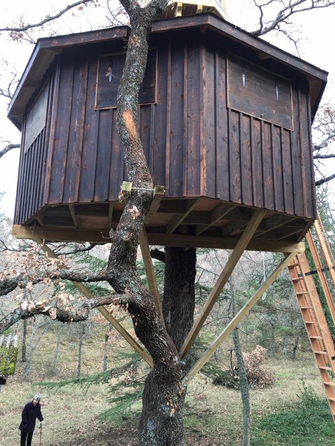 La Maison De Mado Et Sa Cabane Dans Les Arbres Plan d'Aups ภายนอก รูปภาพ